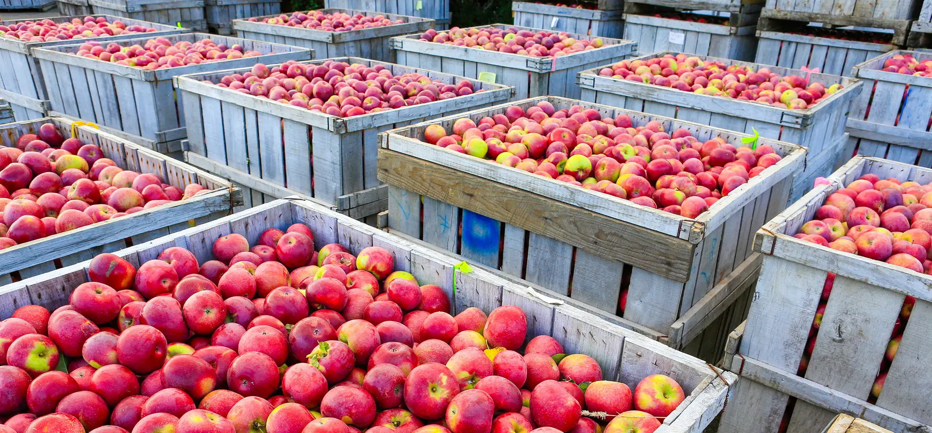 Холодоснабжение